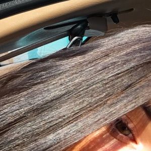 Meet your Posher, Ginger